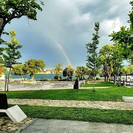 кастро/castro * 茨雷沃