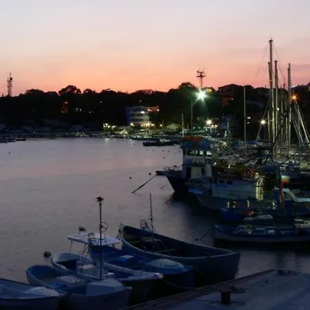 кастро/castro * 茨雷沃